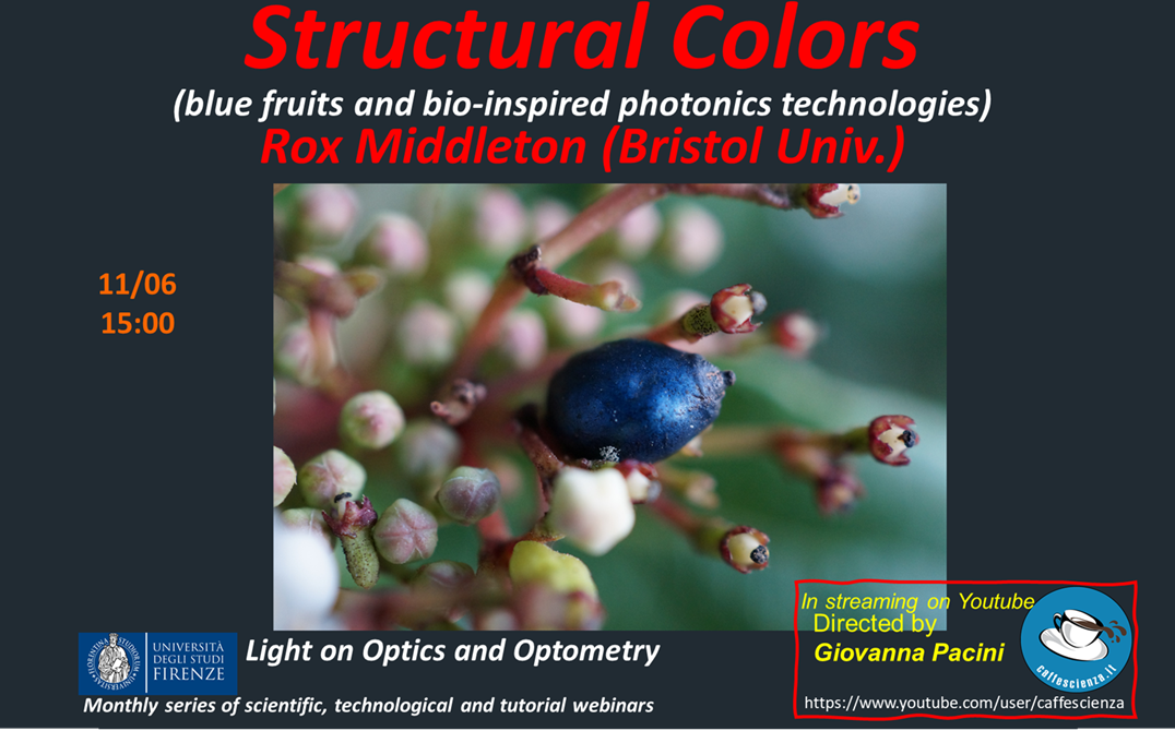 Structural%20Colors%20Rox%20Middleton.png